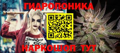 меф Краснознаменск