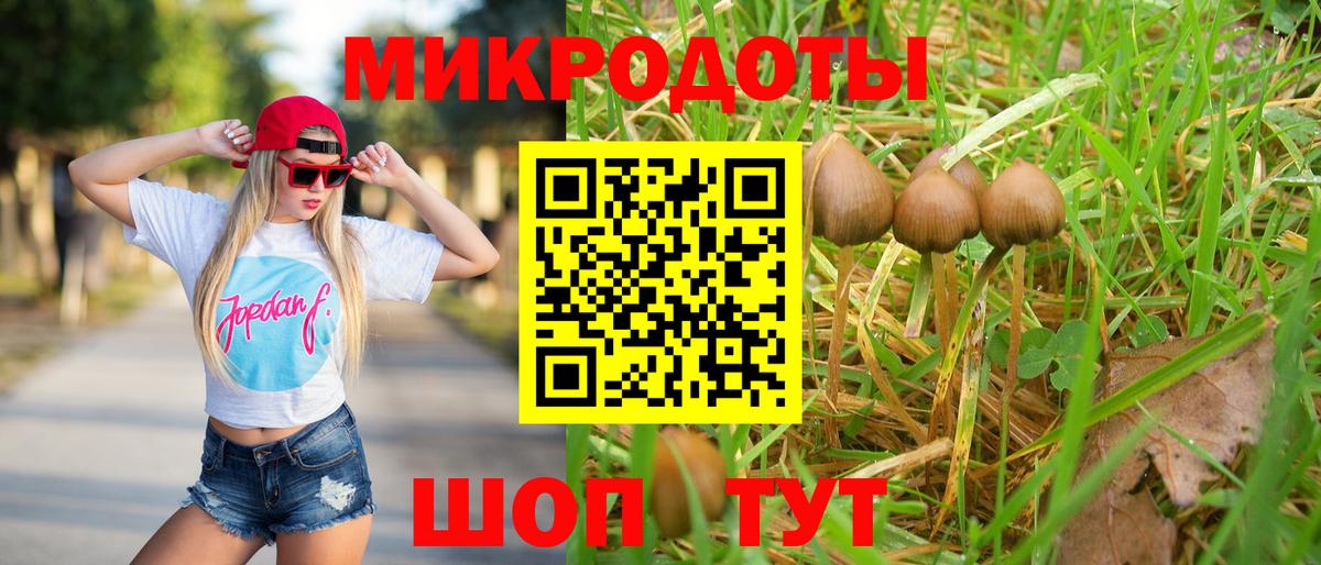 Псилоцибиновые грибы мицелий Кондопога